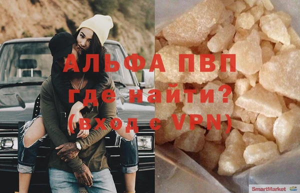 гашик Богданович